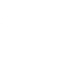 position position